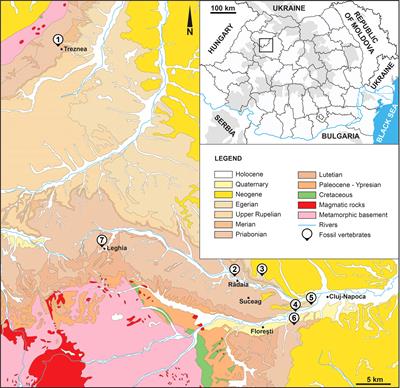 Updating the fossil record of the alligatoroid crocodylian Diplocynodon from the late Eocene of Transylvanian Basin